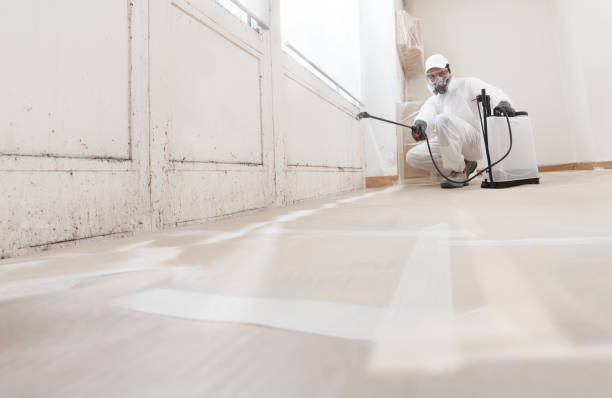 24/7 Emergency Attic Mold Remediation experts in Dunkirk, NY